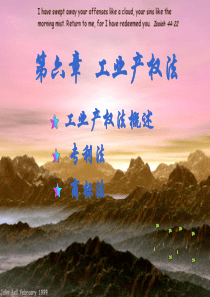 第六章工业产权法律制度(新)