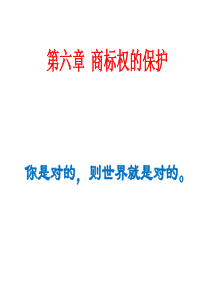 第五章  商标权的保护分析