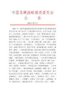中国名牌战略推进委员会