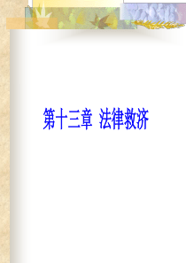 第十三章法律救济
