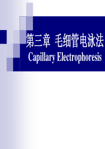第三章毛细管电泳法