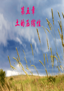 第5章 土压缩性.