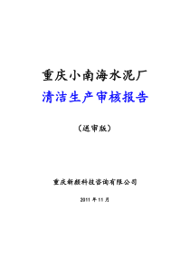 清洁生产审核报告(送审版)