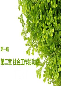 第二章 社会工作的功能