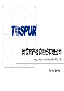 同策咨询公司简介剖析