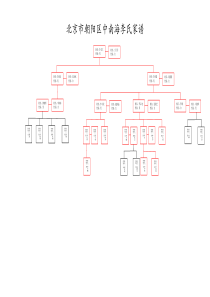 家谱模板-树形图(绝对精品-一目了然)