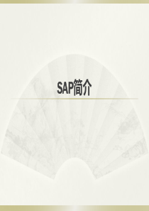 SAP入门