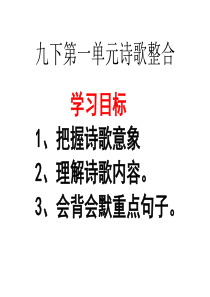 1.3《九下第一单元诗歌整合》