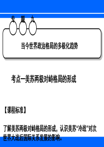 当今世界政治格局的多极化趋势ppt10
