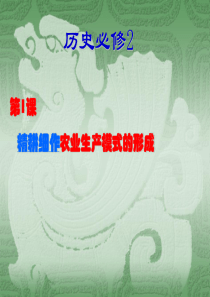 岳麓版历史必修二第一课