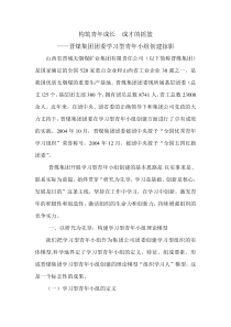 构筑青年成长成才的摇篮——青年学习型小组建设(含大量实例)