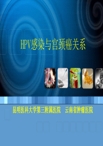 HPV感染与宫颈癌关系