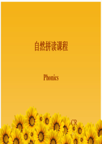 英语字母自然拼读课件