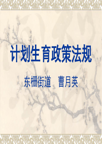 计生-政策法规t