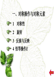点对称操作群(点群)