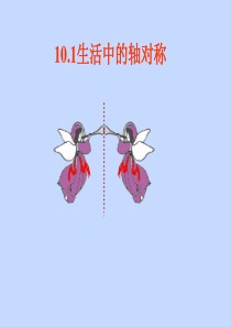 华师大版七下《生活中的轴对称》课件