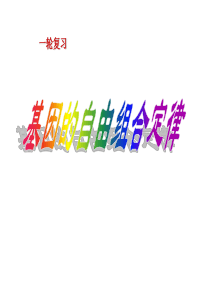 一轮复习-基因的自由组合定律-2016