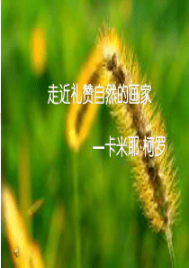 礼赞自然的画家-柯罗