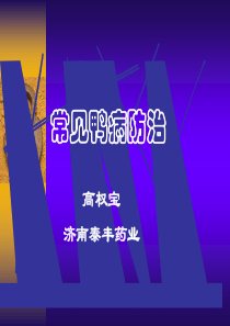 常见鸭病防治