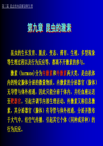 第九章昆虫的激素