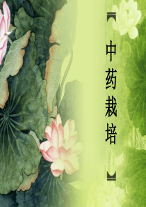 中药材栽培学