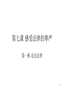走近法律18