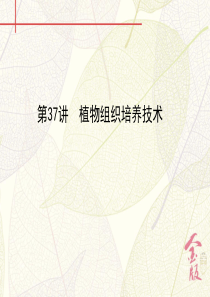 第37讲 植物组织培养技术
