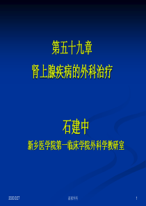 肾上腺解剖及疾病