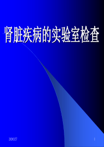 肾功能