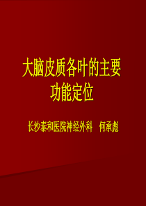 大脑皮质各叶的主要功能定位