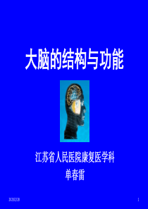 大脑结构与功能
