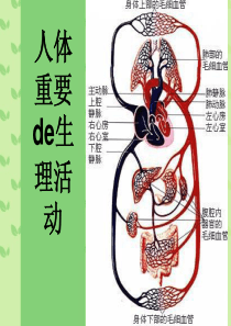 人体重要的生理活动