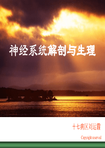 神经系统解剖与生理