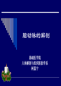 脑动脉的解剖