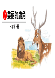 《美丽的鹿角》(完美版)PPT课件