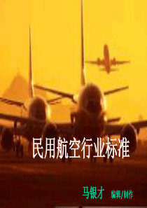 民用航空行业标准(PPT)