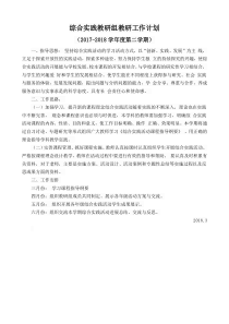 综合实践教研组教研工作计划