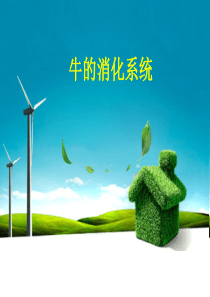 肉牛消化系统试讲