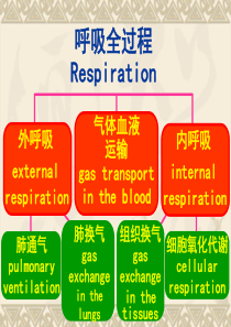 34呼吸衰竭