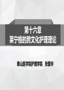 第十六章-马德琳·M·莱宁格的跨文化护理理论