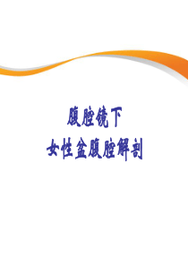 LAP盆腹腔解剖