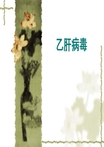 乙肝病毒(xh)