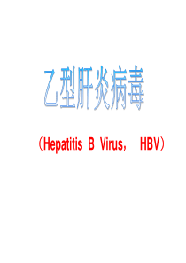 乙肝病毒化验单与预防治疗