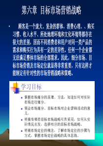 第六章目标市场营销战略