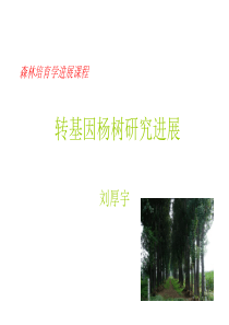 转基因杨树研究进展