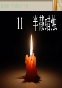 2911《半截蜡烛》PPT课件