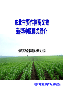 新型栽培模式简介(高光效)水稻