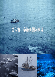 围网渔业技术3