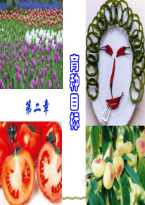 第二章 育种目标