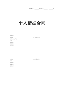 个人借款合同(新)